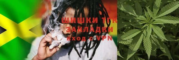 прущие грибы Михайлов
