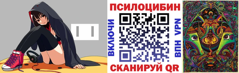 Псилоцибиновые грибы Psilocybine cubensis  Нытва 